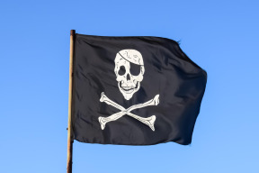 pirate flag skull crossbones